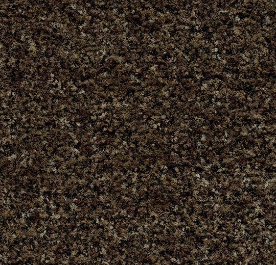 Forbo Coral Forbo Coral Brush 5774 Biscotti Brown 55x90