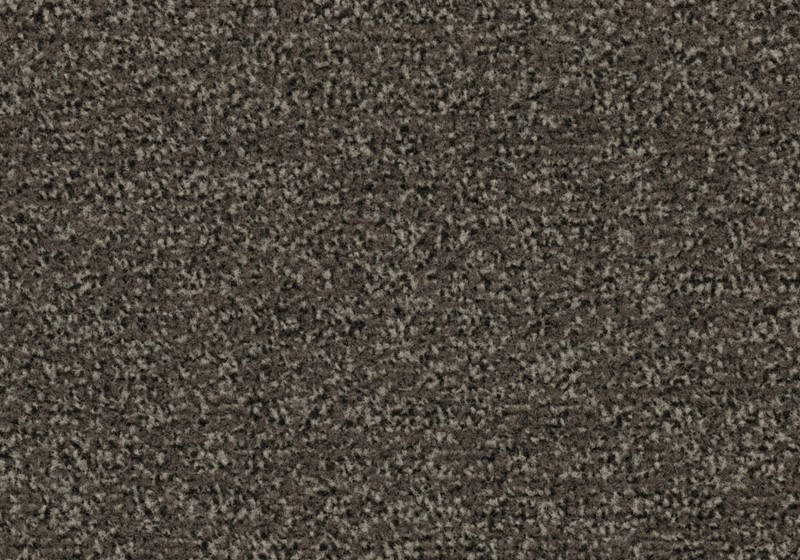 Forbo Coral Forbo Coral Classic 4764 Taupe 55x90