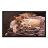 013 Cats