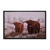 017 Highland Cows