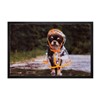 019 Raincoat Dog