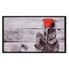 172 Rose